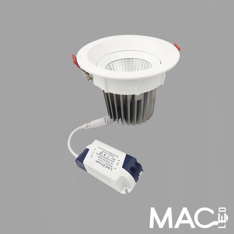 LED Directional Downlight