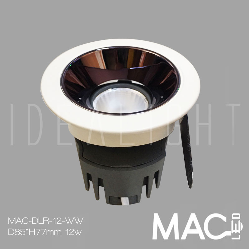 LED Project Downlight