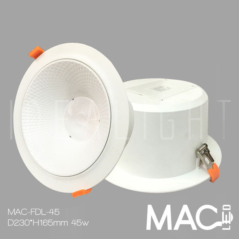 LED Frosted Downlight