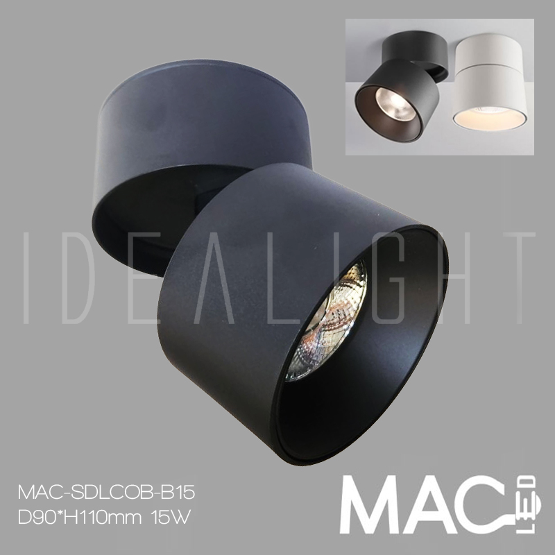 LED Directional Surface Downlight